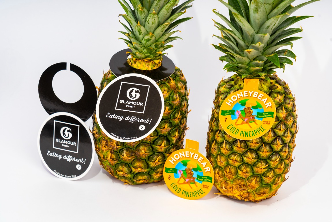 Etiquetas para piña de exportación